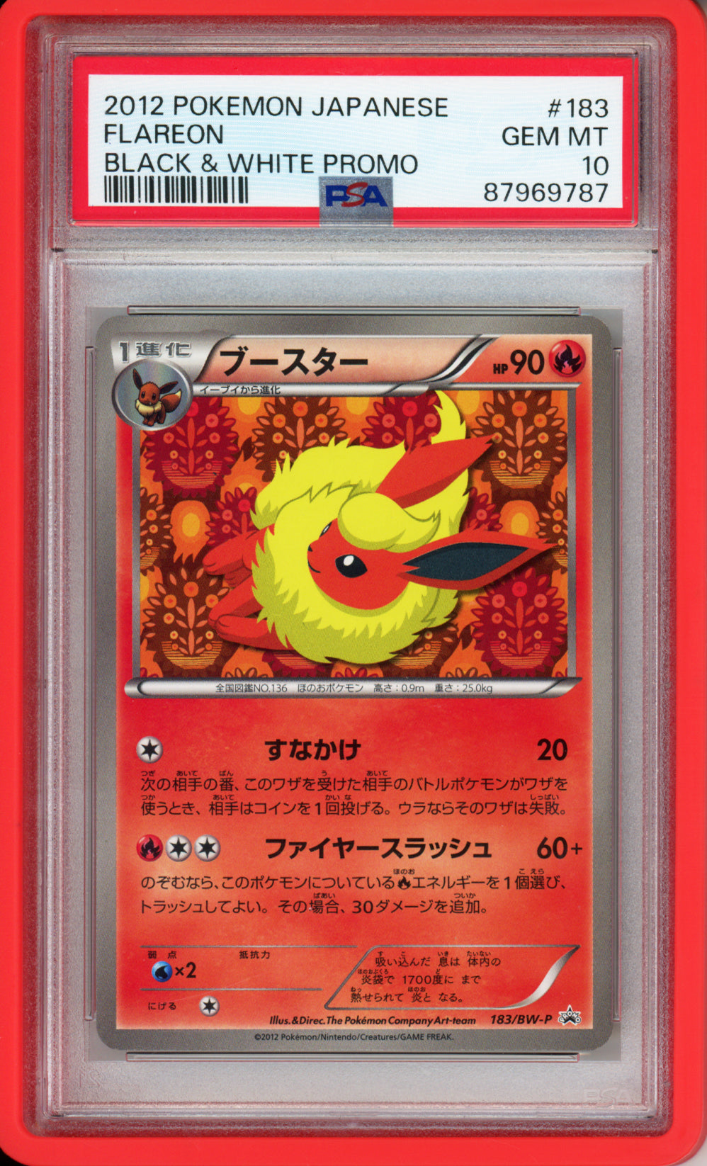 Complete Set of 2012 Eeveelution Black & White Promos - Japanese - PSA10