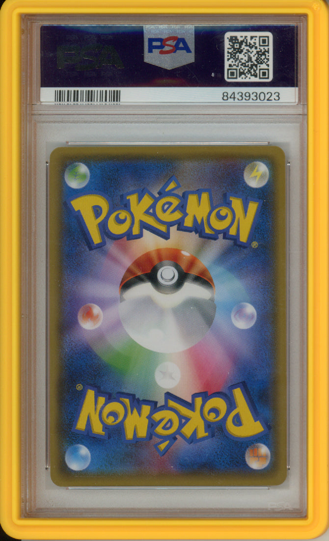Complete Set of 2017 Poncho-Wearing Eevees - Japanese - PSA10