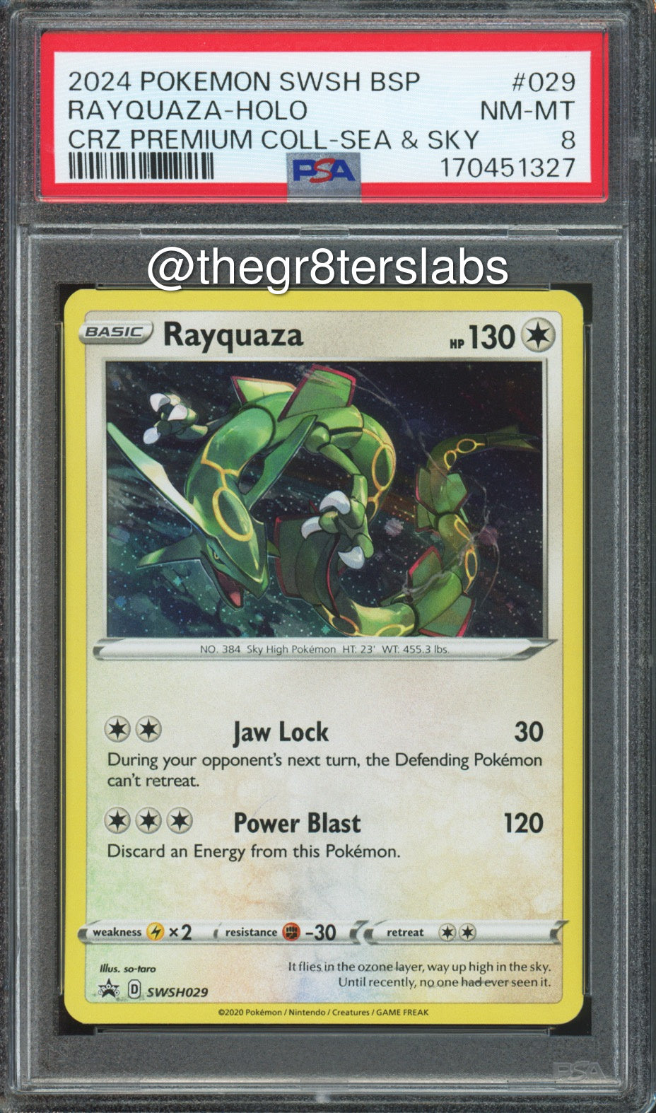 Rayquaza (Holo) - 2024 Pokemon Black Star Promos - Crown Zenith Premium Collection Sea & Sky - #SWSH029 - PSA8 - front