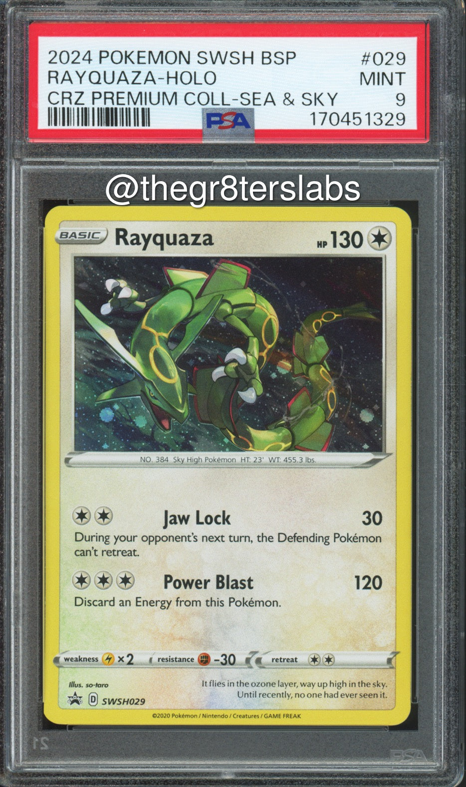 Rayquaza (Holo) - 2024 Pokemon Black Star Promos - Crown Zenith Premium Collection Sea & Sky - #SWSH029 - PSA9 - front