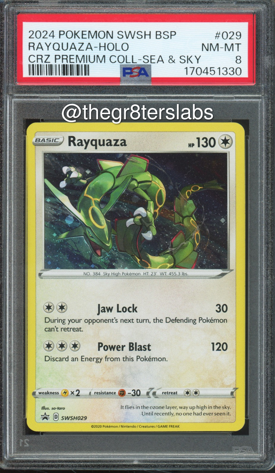Rayquaza (Holo) - 2024 Pokemon Black Star Promos - Crown Zenith Premium Collection Sea & Sky - #SWSH029 - PSA8 - front