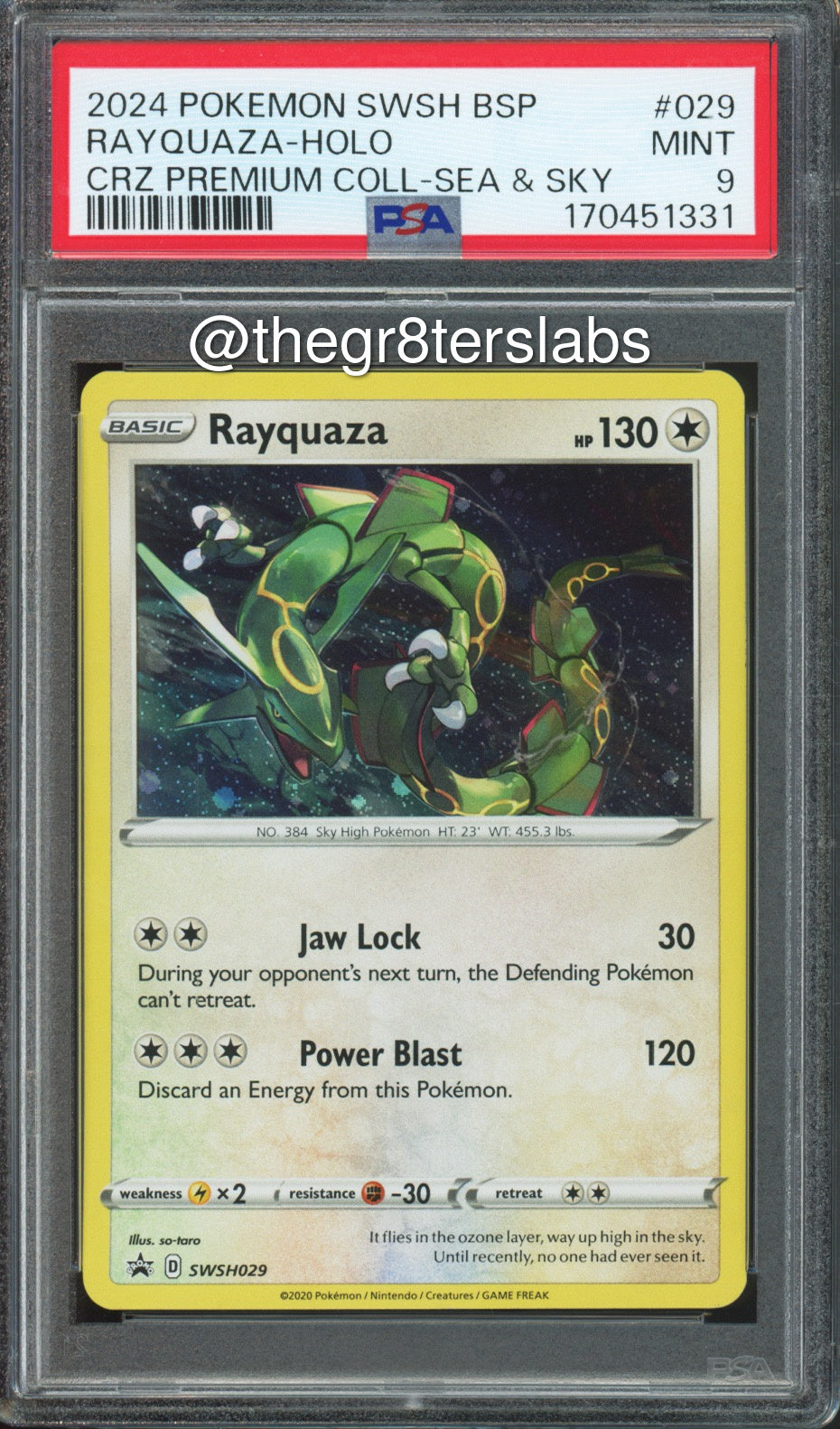 Rayquaza (Holo) - 2024 Pokemon Black Star Promos - Crown Zenith Premium Collection Sea & Sky - #SWSH029 - PSA9 - front