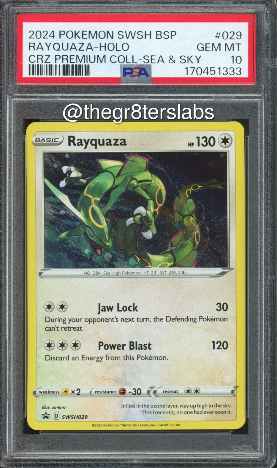 Rayquaza (Holo) - 2024 Pokemon Black Star Promos - Crown Zenith Premium Collection Sea & Sky - #SWSH029 - PSA10 - front