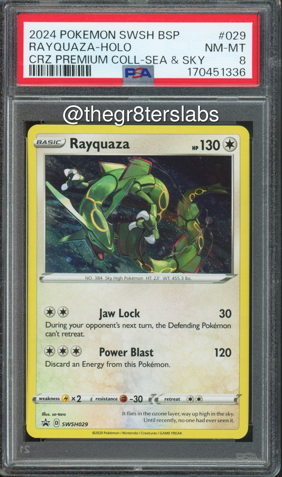Rayquaza (Holo) - 2024 Pokemon Black Star Promos - Crown Zenith Premium Collection Sea & Sky - #SWSH029 - PSA8 - front