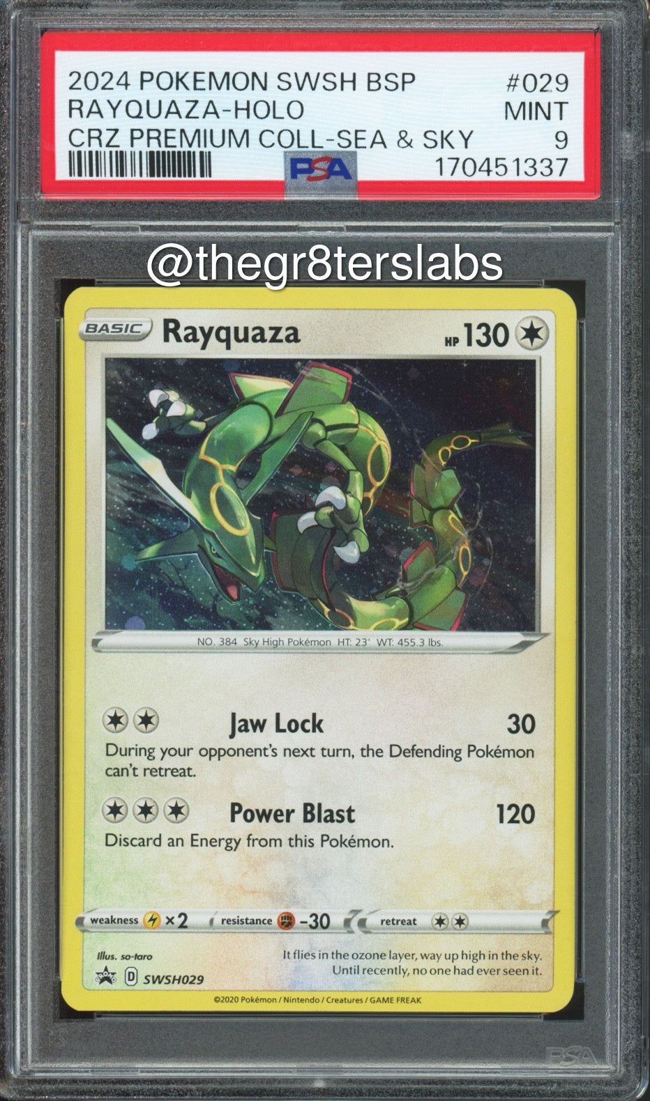 Rayquaza (Holo) - 2024 Pokemon Black Star Promos - Crown Zenith Premium Collection Sea & Sky - #SWSH029 - PSA9 - front