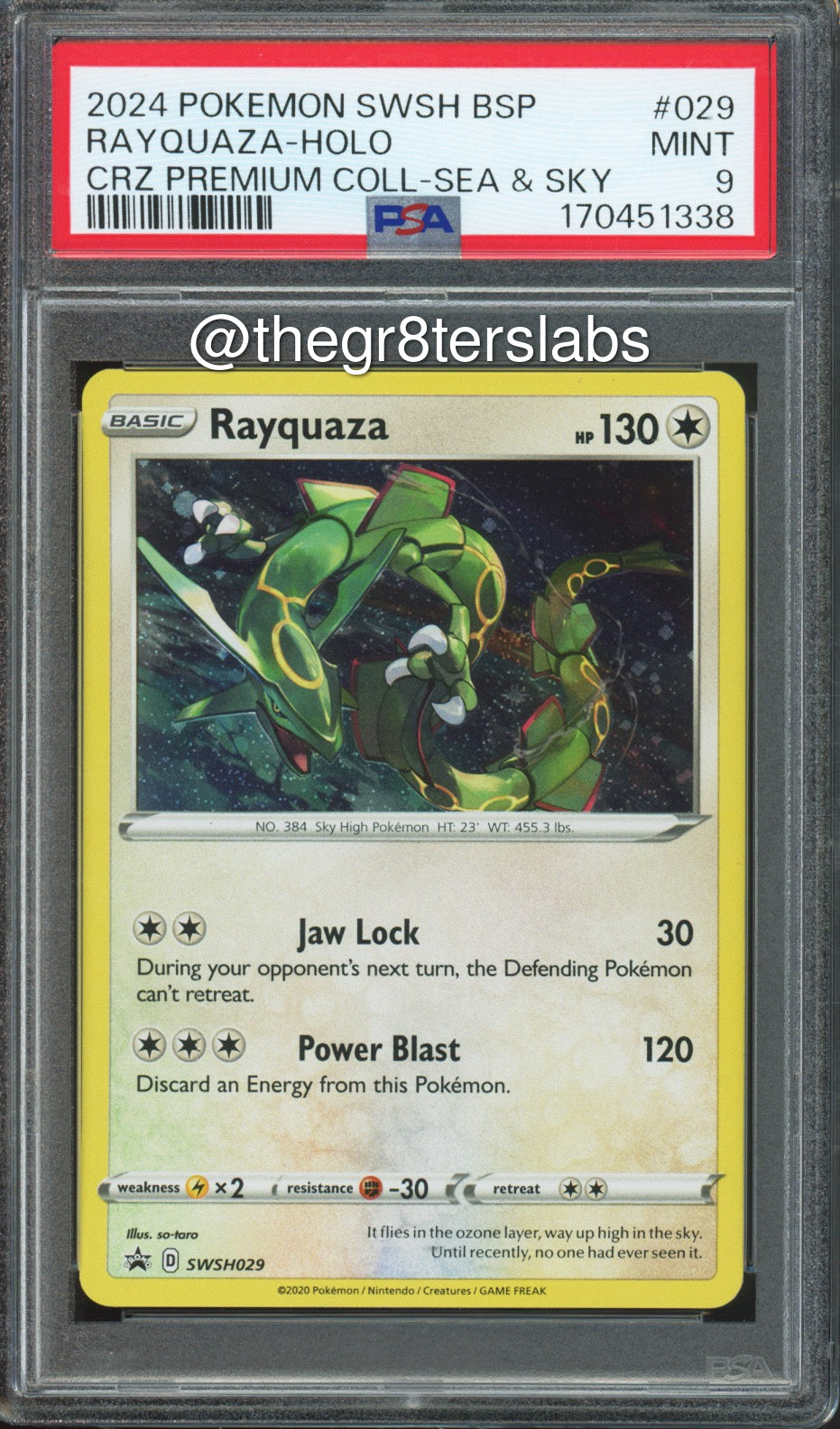 Rayquaza (Holo) - 2024 Pokemon Black Star Promos - Crown Zenith Premium Collection Sea & Sky - #SWSH029 - PSA9 - front