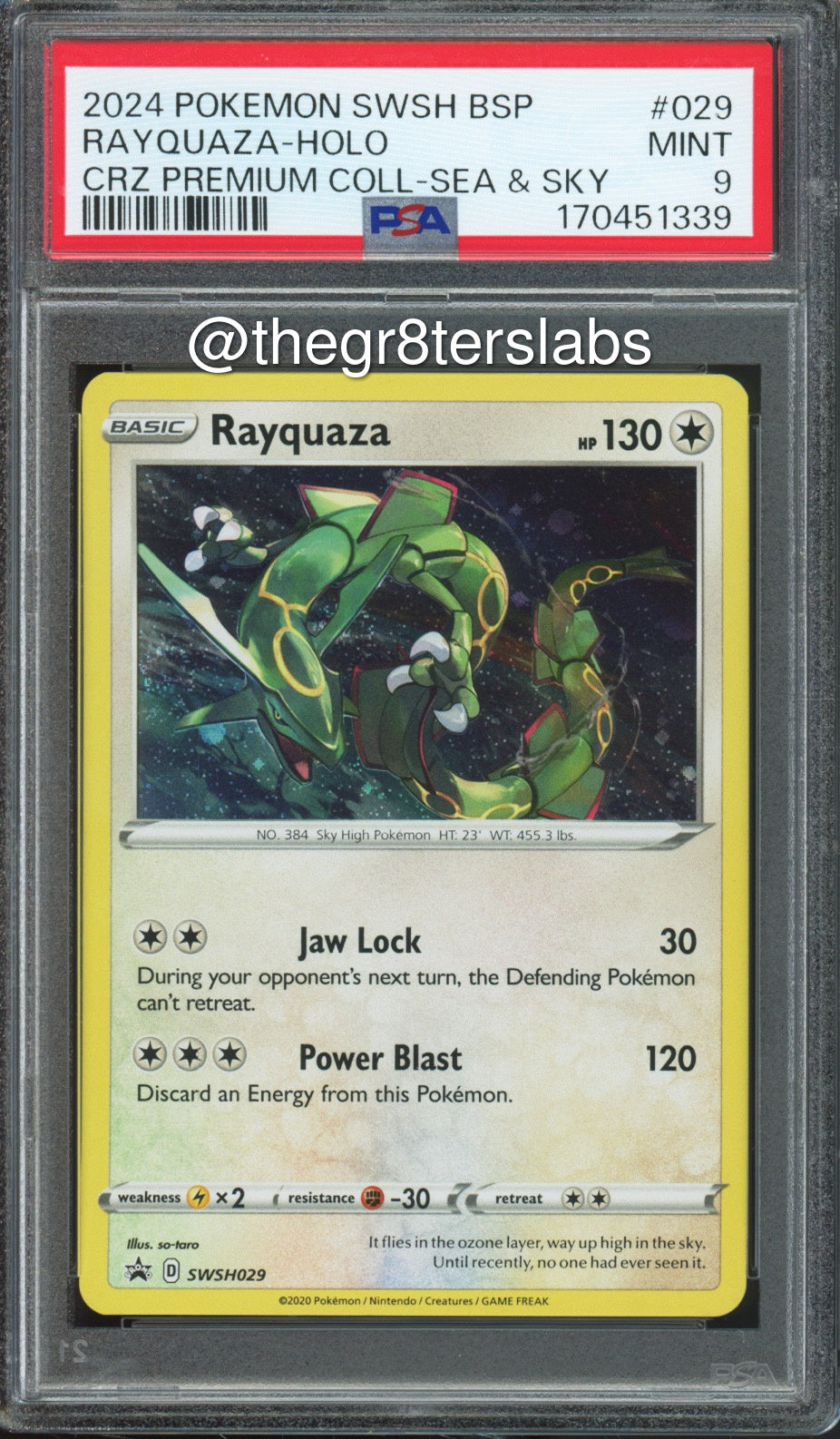 Rayquaza (Holo) - 2024 Pokemon Black Star Promos - Crown Zenith Premium Collection Sea & Sky - #SWSH029 - PSA9 - front