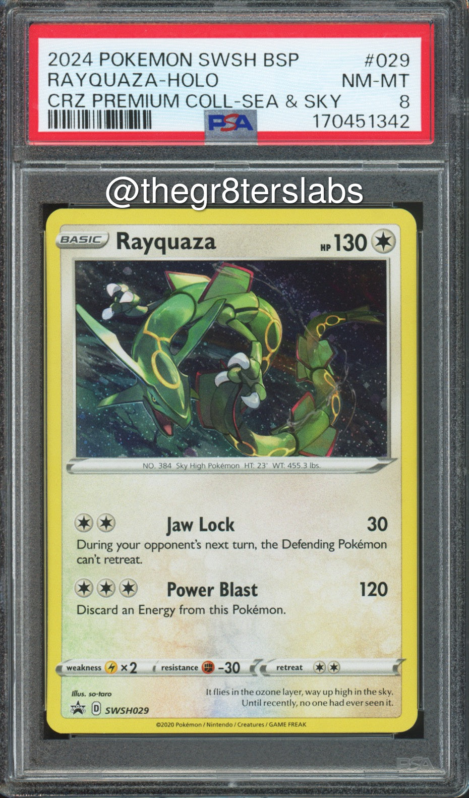 Rayquaza (Holo) - 2024 Pokemon Black Star Promos - Crown Zenith Premium Collection Sea & Sky - #SWSH029 - PSA8 - front