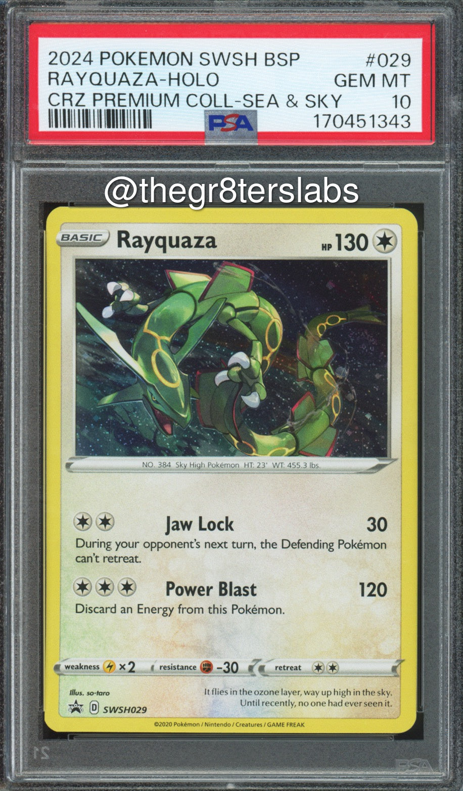 Rayquaza (Holo) - 2024 Pokemon Black Star Promos - Crown Zenith Premium Collection Sea & Sky - #SWSH029 - PSA10 - front