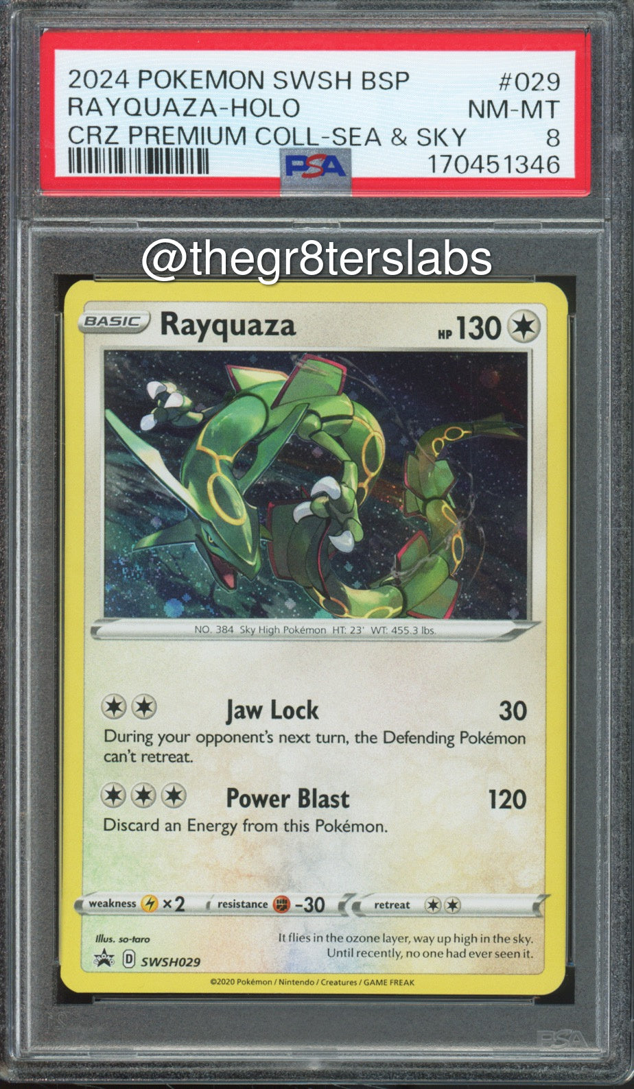Rayquaza (Holo) - 2024 Pokemon Black Star Promos - Crown Zenith Premium Collection Sea & Sky - #SWSH029 - PSA8 - front