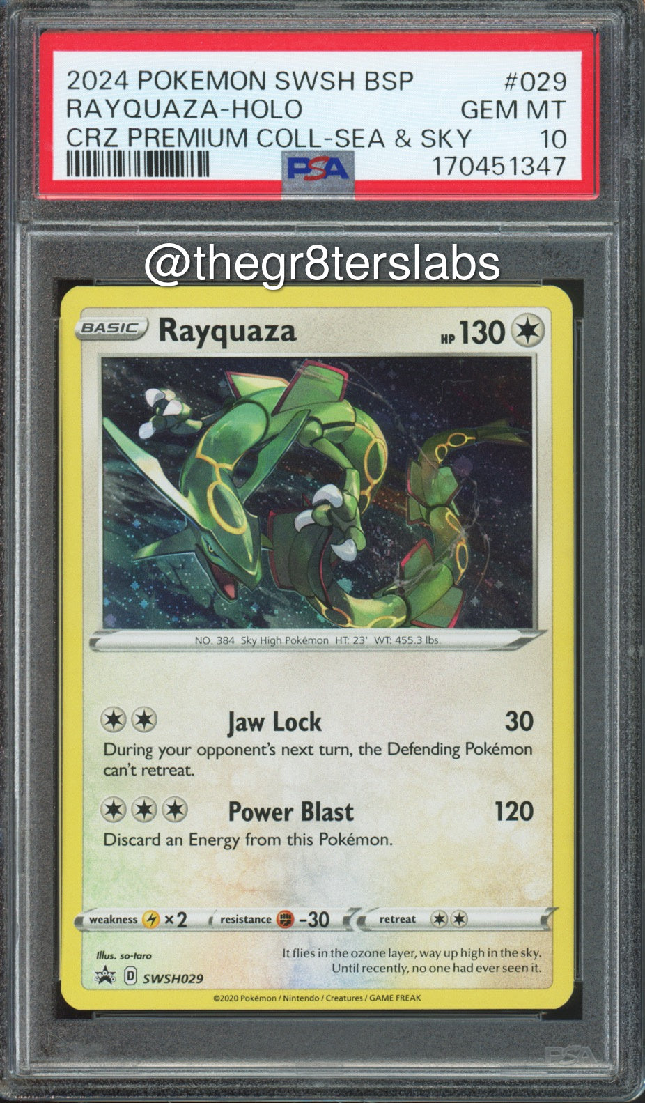 Rayquaza (Holo) - 2024 Pokemon Black Star Promos - Crown Zenith Premium Collection Sea & Sky - #SWSH029 - PSA10 - front