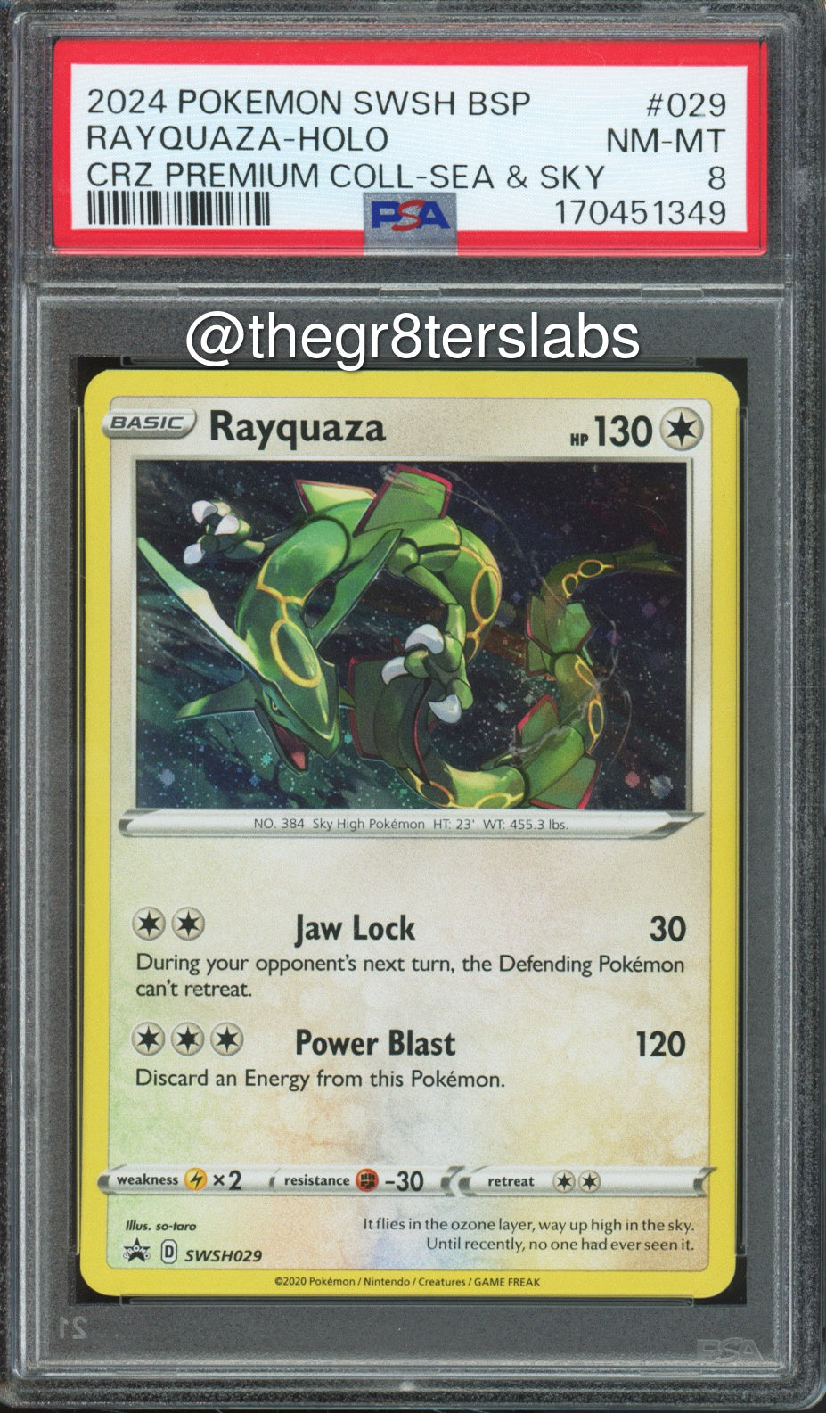 Rayquaza (Holo) - 2024 Pokemon Black Star Promos - Crown Zenith Premium Collection Sea & Sky - #SWSH029 - PSA8 - front
