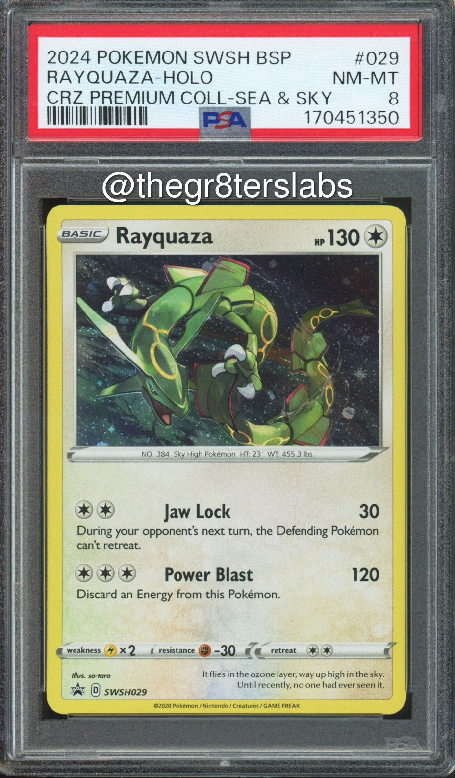 Rayquaza (Holo) - 2024 Pokemon Black Star Promos - Crown Zenith Premium Collection Sea & Sky - #SWSH029 - PSA8 - front
