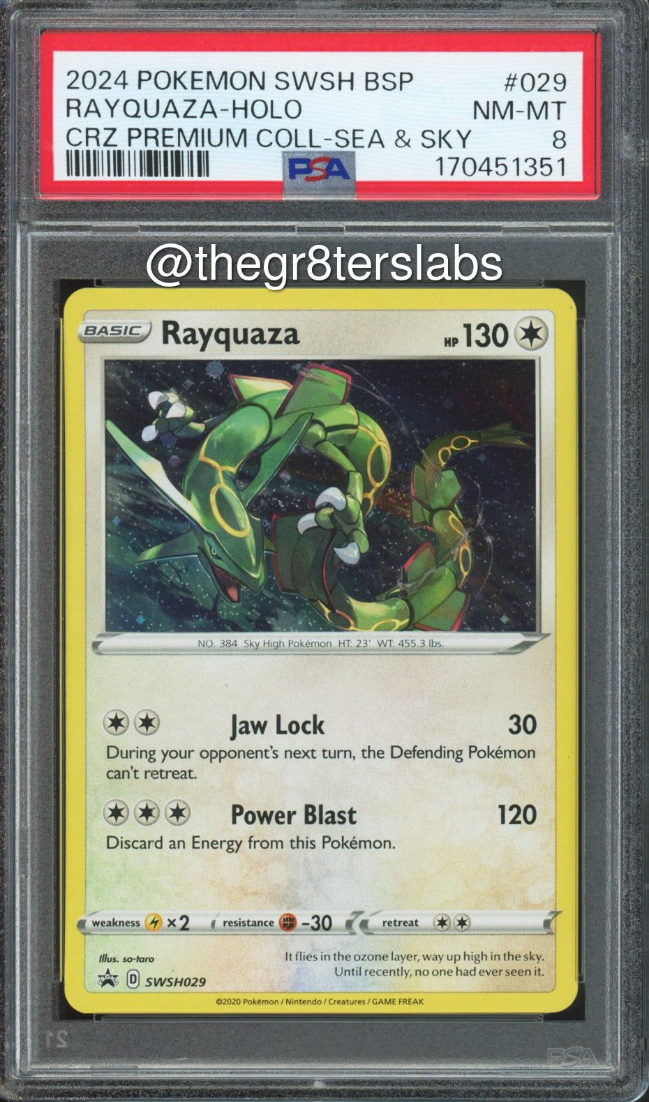Rayquaza (Holo) - 2024 Pokemon Black Star Promos - Crown Zenith Premium Collection Sea & Sky - #SWSH029 - PSA8 - front