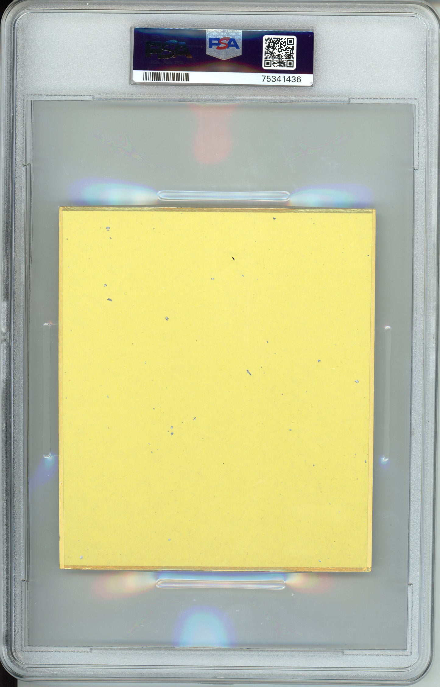 Blastoise - 2019 Pokemon Shikishi - Art 1 - PSA9