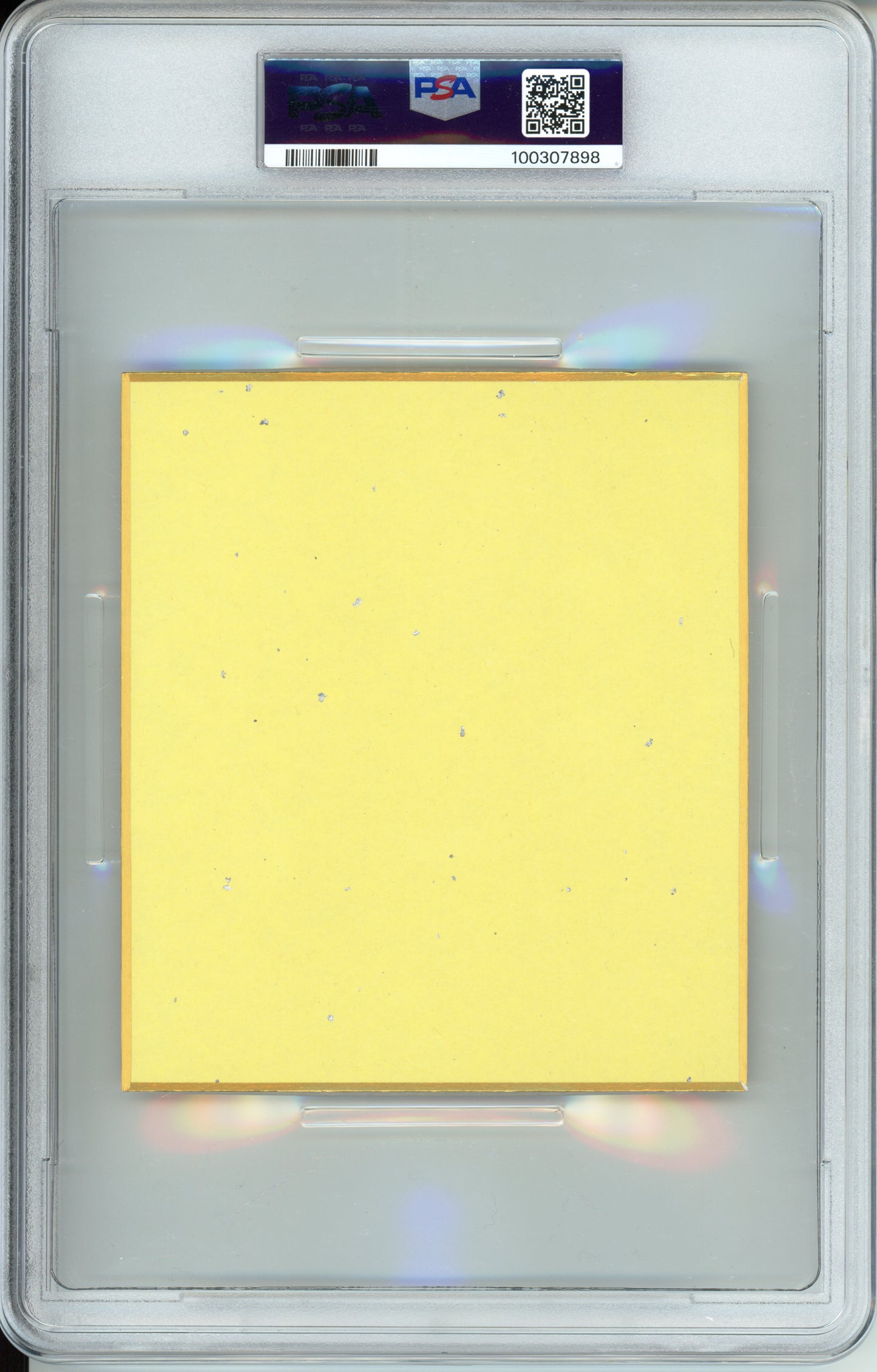 Lucario - 2019 Halloween Campaign - Shikishi Art V.1 - PSA8