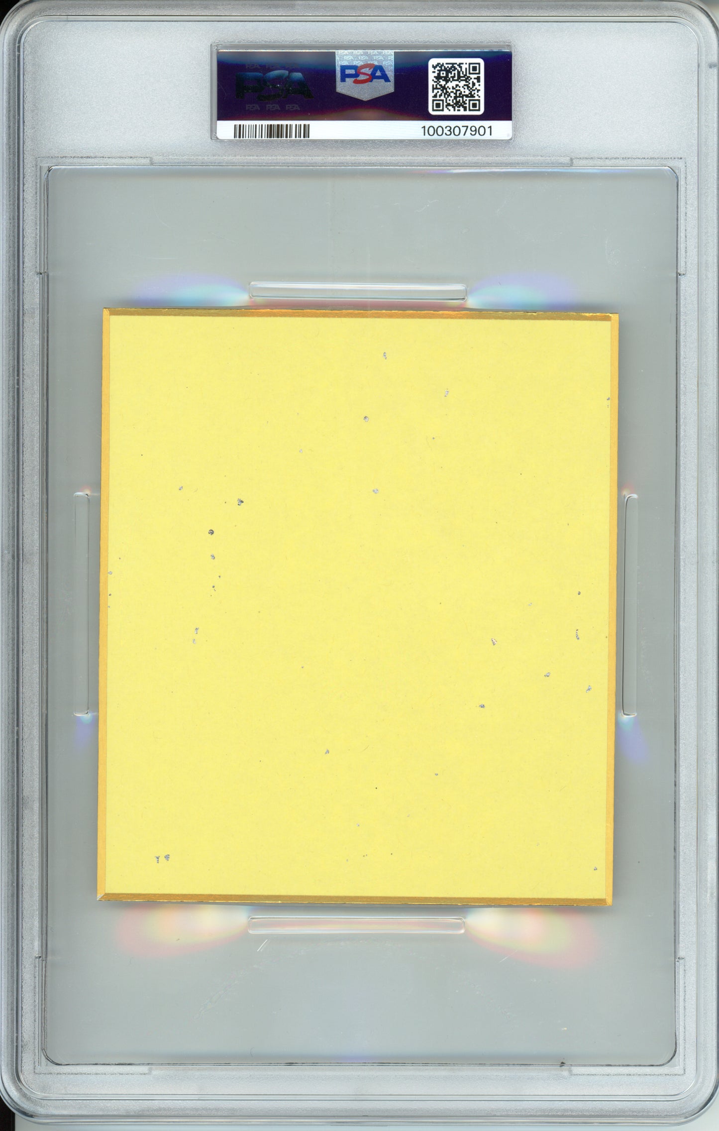 Lucario - 2019 Pokemon Art - Halloween Campaign - Shikishi Art V.1 - PSA9
